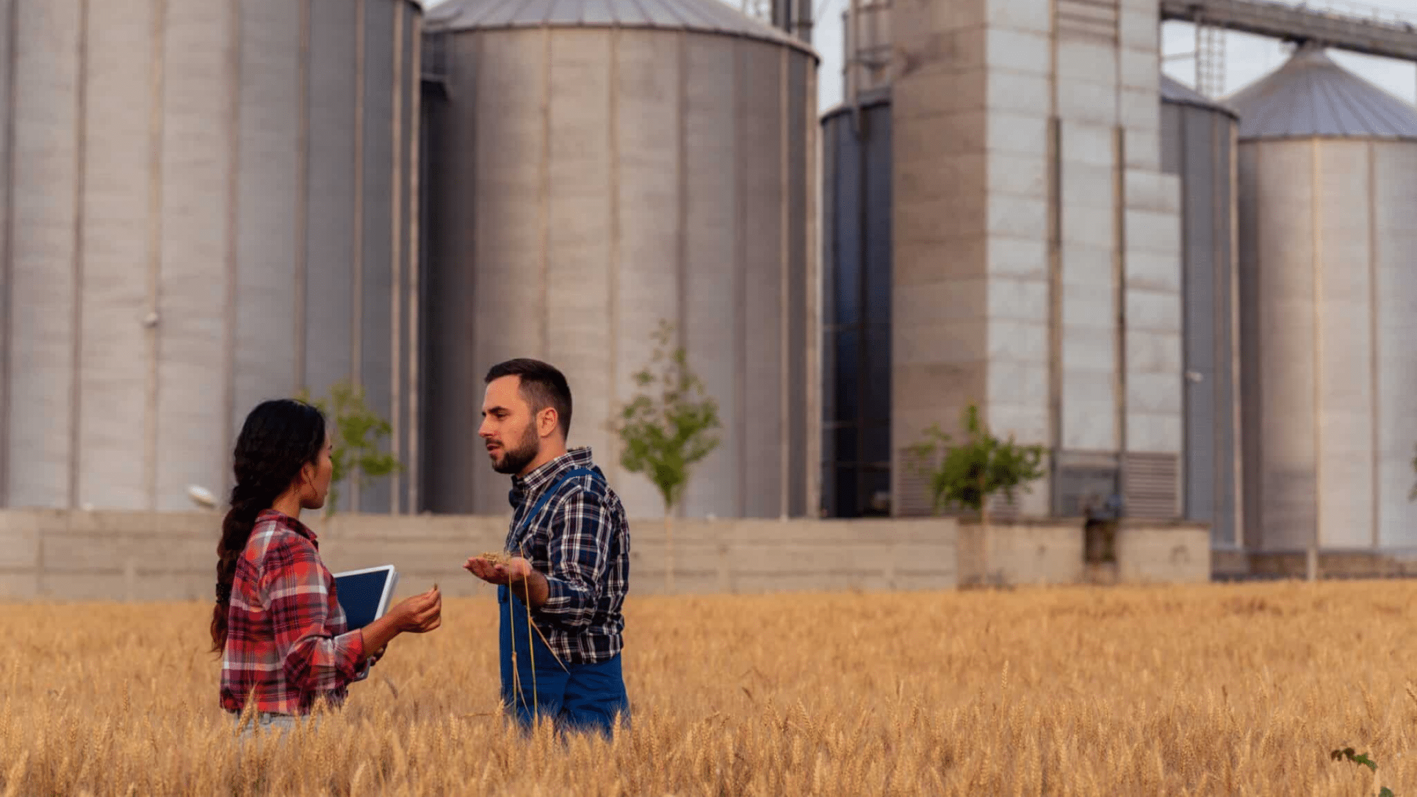 A,knowledgeable,chinese,agronomist,and,silo,owner,meet,in,a, Data Silos