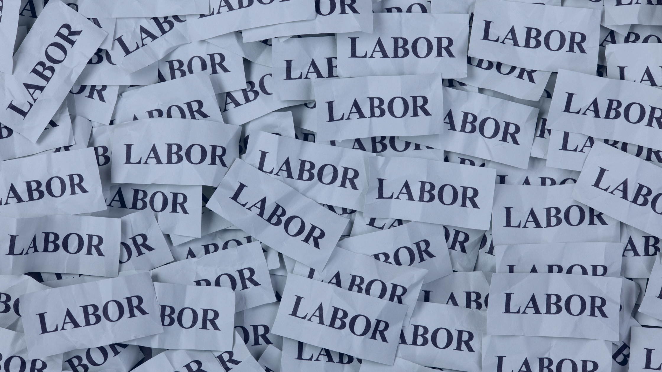 Labor Management System