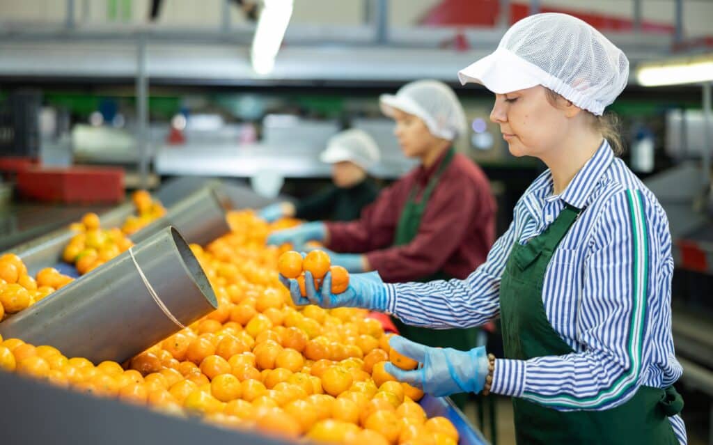 Skilled,female,worker,of,fruit,processing,factory,checking,fresh,ripe,Advanced Planning and Scheduling