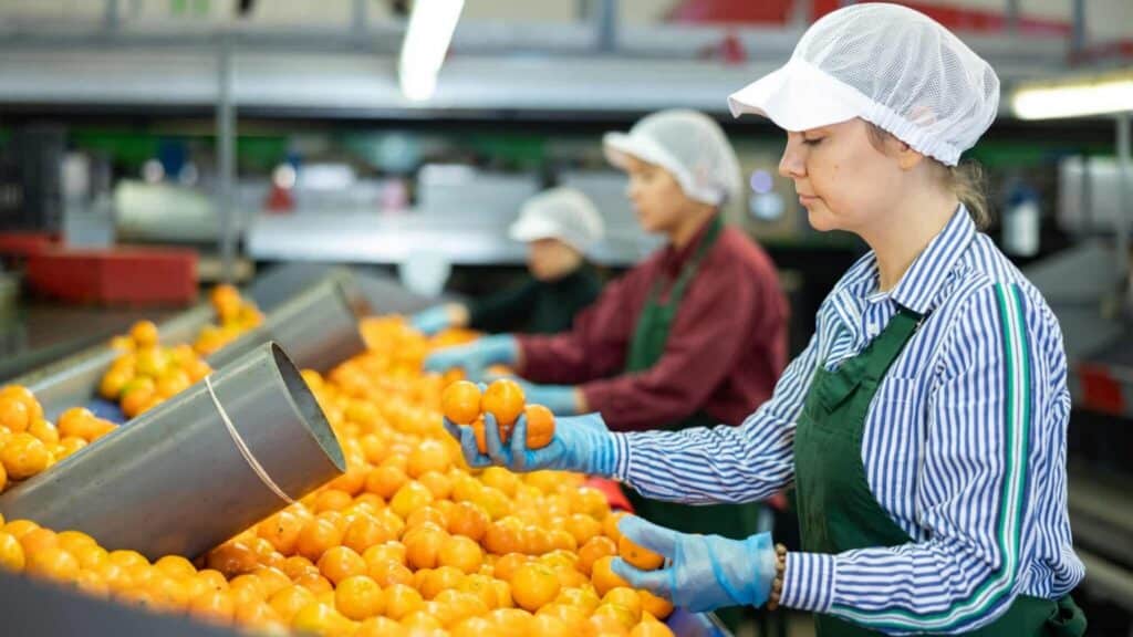 Skilled,female,worker,of,fruit,processing,factory,checking,fresh,ripe, Advanced Planning And Scheduling