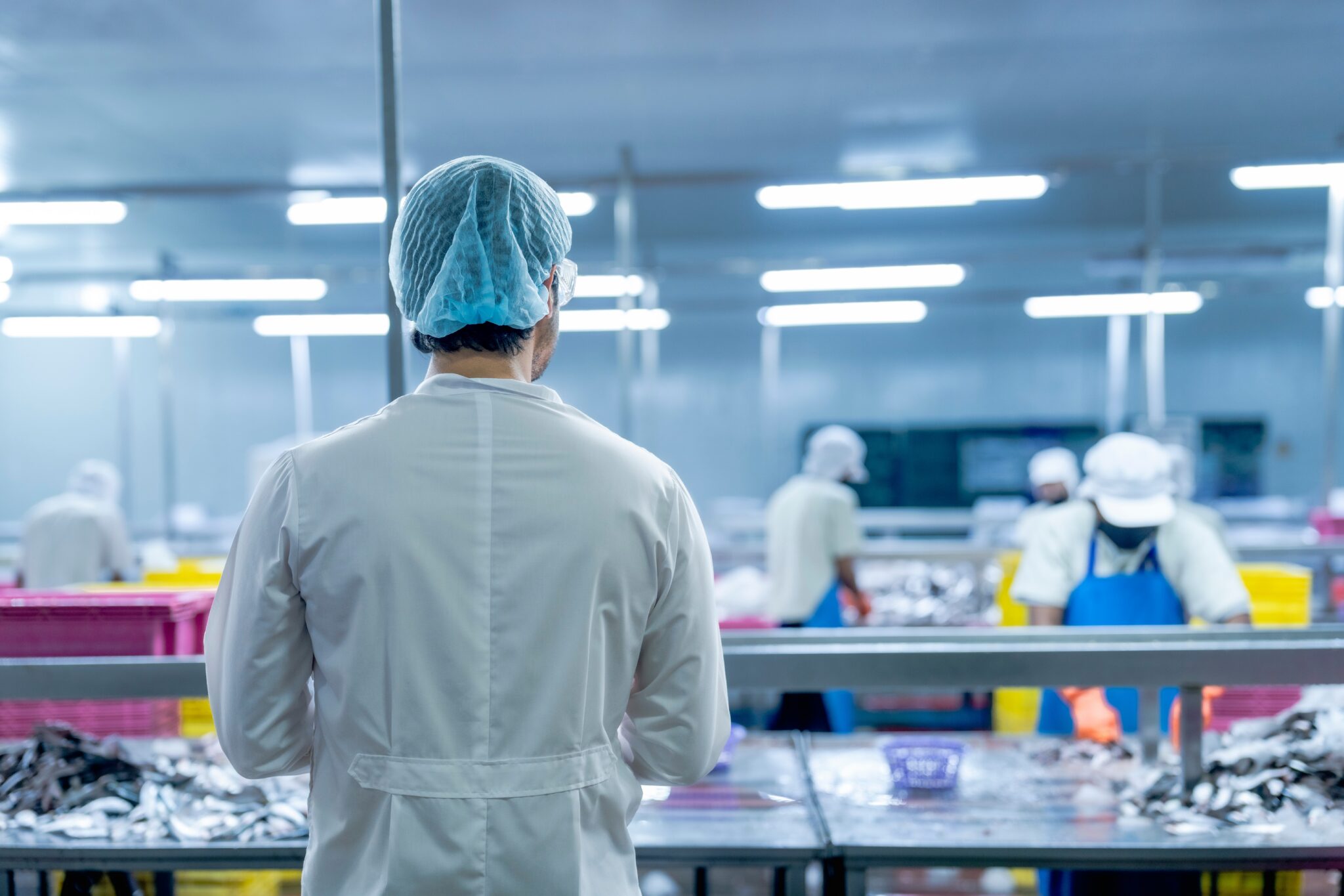 Back,View,Of,A,Supervisor,In,Protective,Gear,Observing,Workers, SQF Food Safety Code