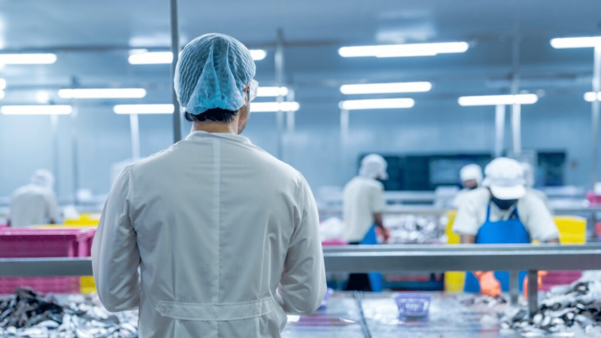 Back,view,of,a,supervisor,in,protective,gear,observing,workers, Sqf Food Safety Code